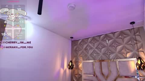 Snapshot of meraki_fraise chatting on 11/29/25, 07:06 online show from 11/29/25, 07:06