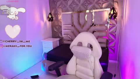 Snapshot of meraki_fraise chatting on 12/03/25, 07:34 online show from 12/03/25, 07:34