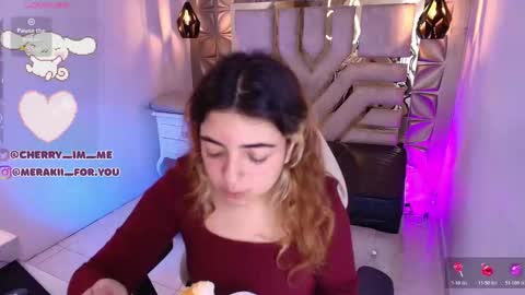 Snapshot of meraki_fraise chatting on 12/04/25, 08:06 online show from 12/04/25, 08:06