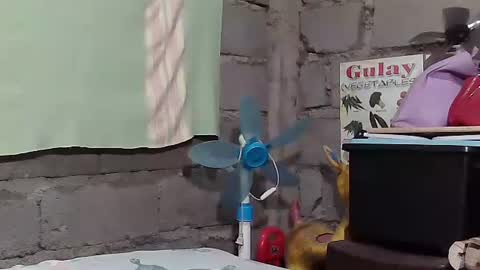 merietiny online show from 01/22/25, 05:59