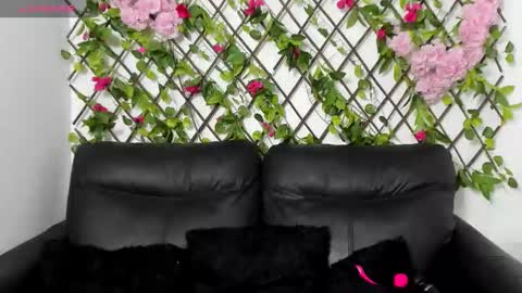 My next birthday is December 11th. online show from 11/14/25, 12:42