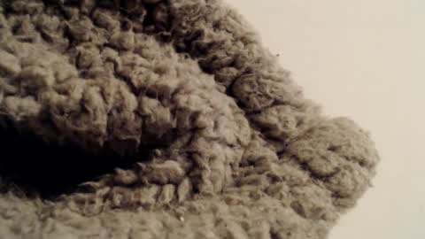 Snapshot of mesmerize88 chatting on 02/01/25, 05:37 Mauro online show from 02/01/25, 05:37