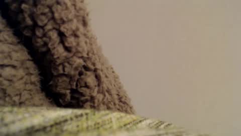 Snapshot of mesmerize88 chatting on 02/06/25, 11:37 Mauro online show from 02/06/25, 11:37