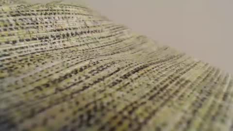 Snapshot of mesmerize88 chatting on 02/11/25, 08:52 Mauro online show from 02/11/25, 08:52