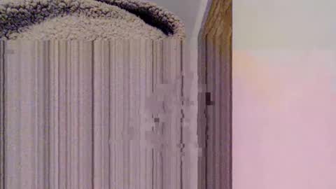 Snapshot of mesmerize88 chatting on 02/15/25, 10:52 Mauro online show from 02/15/25, 10:52