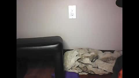 Snapshot of mi45419 chatting on 11/02/25, 07:05 mi45419 online show from 11/02/25, 07:05