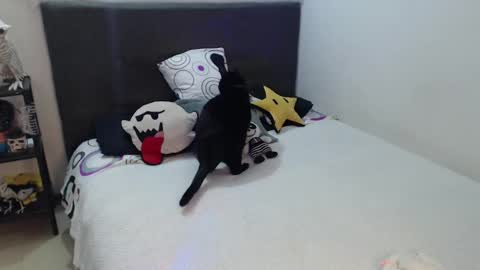 mia online show from 10/04/25, 12:52