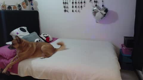 Snapshot of mia_adams_red chatting on 02/03/26, 10:59 mia online show from 02/03/26, 10:59