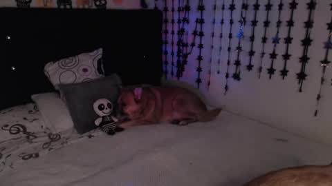 Snapshot of mia_adams_red chatting on 02/18/26, 11:33 mia online show from 02/18/26, 11:33