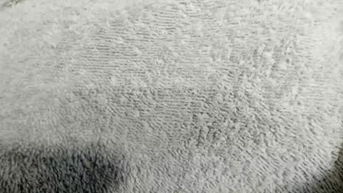 Mia online show from 04/20/26, 02:14