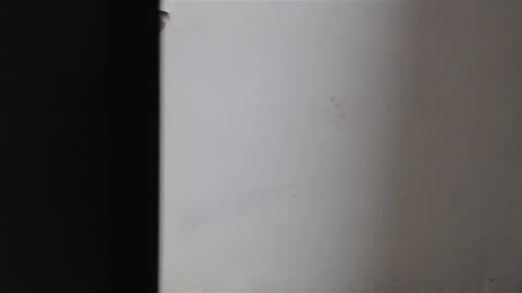 Snapshot of mia_sepulveda chatting on 01/22/25, 04:02 Mia Sepulveda online show from 01/22/25, 04:02