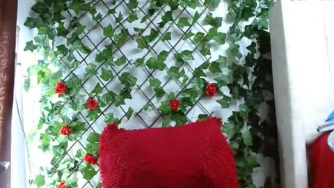 Snapshot of mia_squirt_big chatting on 12/06/24, 12:49 Mia squirt big INDEPENDENT MODEL...ONLYFANS online show from 12/06/24, 12:49