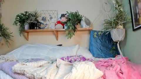 Miaa online show from 12/20/24, 10:16