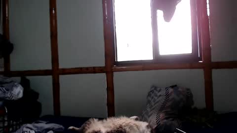 Mia  Sam online show from 10/04/25, 04:05