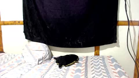 Snapshot of miahells chatting on 12/16/25, 04:01 Mia Sam online show from 12/16/25, 04:01