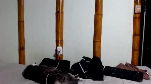 Snapshot of miahells chatting on 01/17/26, 11:41 Mia Sam online show from 01/17/26, 11:41