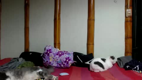 Mia  Sam online show from 03/22/26, 12:25