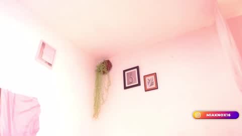 Snapshot of miaknox chatting on 02/24/25, 12:05 Mia online show from 02/24/25, 12:05
