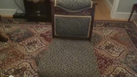 Snapshot of miamiwrestler chatting on 12/22/25, 02:41 miamiwrestler online show from 12/22/25, 02:41