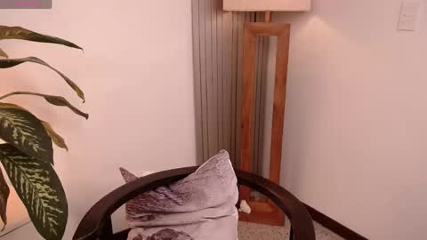 MIAPORTMANN online show from 04/23/26, 12:29