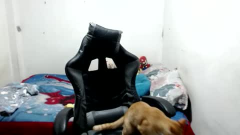 mia online show from 05/09/26, 04:17