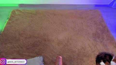 Snapshot of mich_bittersweet chatting on 01/29/25, 10:11 online show from 01/29/25, 10:11