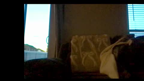 michaelt483 online show from 02/21/26, 11:06