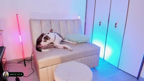 Michelle online show from 04/15/26, 09:59