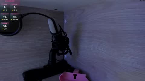 Snapshot of michellepreston_ chatting on 02/20/26, 11:54 michellepreston_ online show from 02/20/26, 11:54