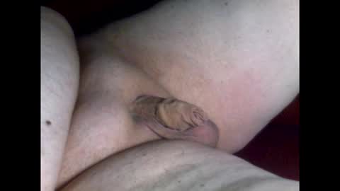 micropimmel online show from 03/19/26, 08:24