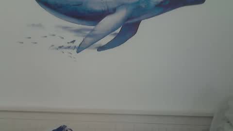 Snapshot of midhir chatting on 01/15/25, 07:44 kike online show from 01/15/25, 07:44