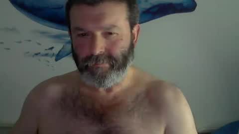 Snapshot of midhir chatting on 01/30/25, 03:19 kike online show from 01/30/25, 03:19