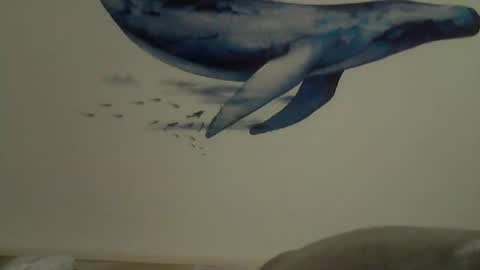 Snapshot of midhir chatting on 02/27/25, 02:43 kike online show from 02/27/25, 02:43