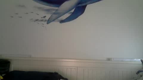 Snapshot of midhir chatting on 12/04/25, 02:48 kike online show from 12/04/25, 02:48