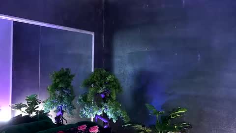 Alice online show from 03/07/25, 11:07