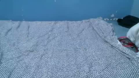 Caddy online show from 04/21/26, 07:17