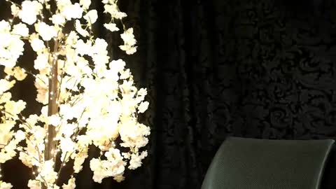 Mika online show from 12/16/24, 09:57