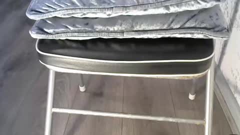 mike26051 online show from 12/15/25, 03:27