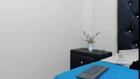 Snapshot of mikeblaree chatting on 02/20/25, 11:21 mikeblaree online show from 02/20/25, 11:21