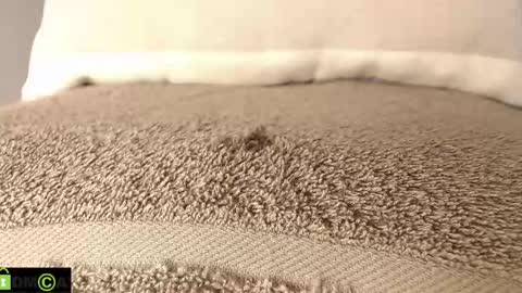 Mikell Williams online show from 03/12/25, 08:52