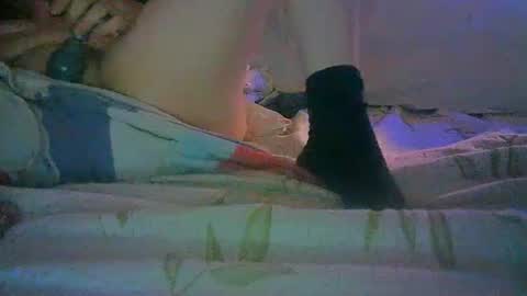 Snapshot of mikemike11k chatting on 12/30/24, 03:36 mikemike11k online show from 12/30/24, 03:36