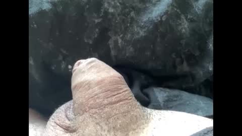 mikke332 online show from 02/10/25, 11:57