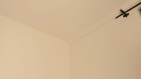Snapshot of mila_monty__ chatting on 02/14/25, 07:28 online show from 02/14/25, 07:28