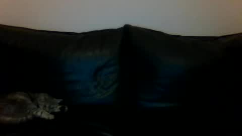 MilaGabor online show from 11/16/25, 06:24