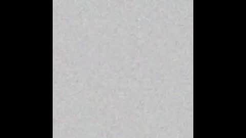 milehighcock5280 online show from 10/31/25, 10:27