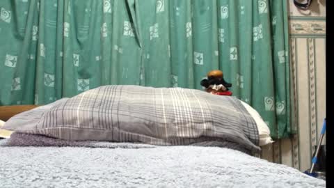 Snapshot of milfy72 chatting on 01/30/25, 10:41 milfy72 online show from 01/30/25, 10:41