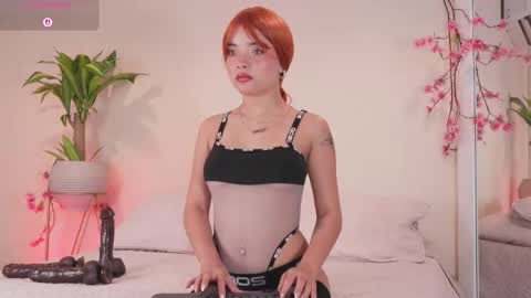    online show from 01/18/26, 12:09