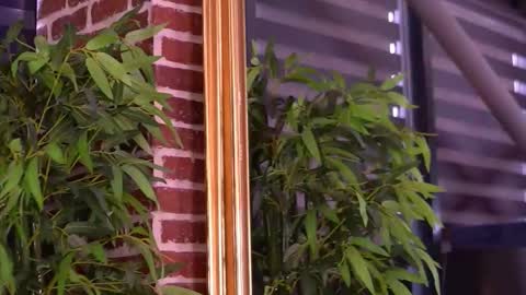 Milla online show from 01/10/26, 07:54