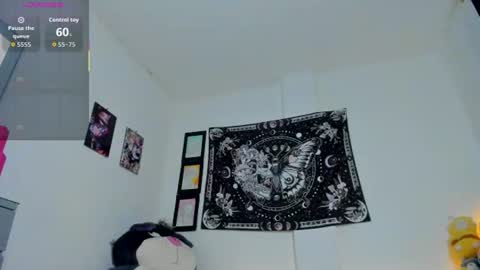        online show from 07/24/26, 09:18