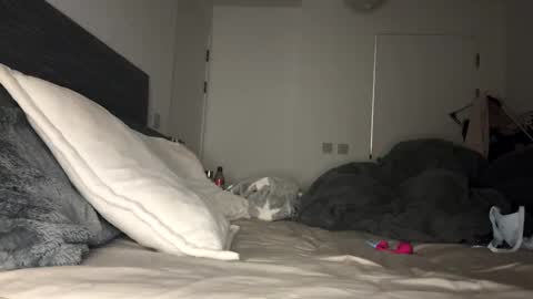 Mimi Monroe  online show from 11/09/25, 07:01